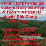 Chính chủ bán gấp đất vườn trái cây siêu đẹp ở Thôn 7, Xã Đắk Ha, Huyện Đăk Glong, Đắk Nông