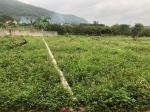 Bán đất tp Chí Linh giá rẻ,cực hiếm.chưa đến 5triêu/m2