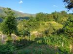 Bán đất sapa 2- y tý view thung lũng ruộng bậc thang siêu đẹp