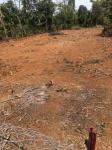 Cần bán 2 lô đất liền kề vị trí đẹp tại Đắk Lắk