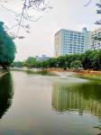 Bán nhà phố Chùa Láng, view hồ, lô góc, 3 ô tô tránh, 126m2, 32 tỷ