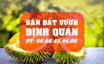 Bán đất vườn định quán, đồng nai - đt: ***9434409