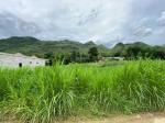 Bán đất Quản Bạ, Hà Giang - giá cực rẻ, phù hợp cho tất cả các nhà đầu tư