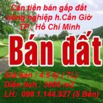 Cần tiền bán gấp đất nông nghiệp huyện Cần Giờ , Hồ Chí Minh