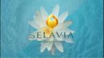Selavia - nơi nghỉ dưỡng đẳng cấp cho những chủ nhân xứng tầm