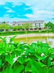 BÁN GẤP căn biệt thự suất ngoại giao đẹp thứ 2 dự án.
