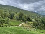 Bán mảnh đất tại Y Tý, Lào Cai diện tích 1985m2 giá 1 triệu/m2 view săn mây, chính chủ em Lan