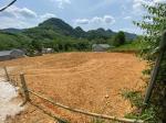 Chính chủ cần tiền bán nhanh lô đất tại Thôn Lịch 1 - Xã Hương Cần - Thanh Sơn - Tỉnh Phú Thọ.