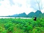 Bán đất nghỉ dưỡng hơn 3000m giá nhỉnh 4 tỷ bám hồ Cành Lạc Sơn, Hòa Bình
