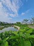 Chính chủ nhờ bán căn Biệt Thự 3 tầng 135m2 chỉ với 7,x tỷ giữa trung tâm thành phố Từ Sơn.