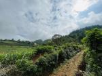 Chưa đến 1tr/m2 sở hữu ngay mảnh đất tại  Y Tý -Sapa2, view suối núi săn mây,phù hợp làm homstay