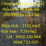 Chính chủ cần bán đất thổ cư ở xã Tân An Hội Huyện Củ Chi.