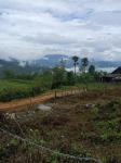 Đất nền Y TÝ_SAPA2 săn mây siêu đẹp giá chỉ từ1tr/m2