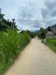 Bán gấp 196.7m2 Thống Nhất, xã Đông Hà, huyện Quản Bạ. View núi, đằng sau là sông Miện