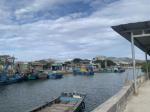 Bán đất nền đầu tư ven biển Bà Rịa Vũng Tàu, sổ hồng chỉ 2km đến bãi biển Long Hải, 130m2 giá chỉ