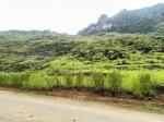 e gái 854m nằm trên QL4C,đầu cầu 2,Cán Tỷ,Quản Bạ,Hà Giang