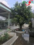 Bán nhà vườn có sẵn trái cây thuộc xã Thiện Tân,Huyện Vĩnh Cửu. Bán đất & nhà 734m2 mặt tiền đường