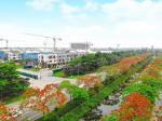 Nhận giữ chỗ Biệt Thự View sông - Centa Riverside Từ Sơn, kí trực tiếp chủ đầu tư. LH Lê Hoa