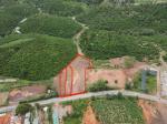 Chính chủ cần bán lô đất vị trí đẹp tại Lâm Đồng