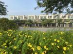 Bán nhà 3 tầng trục chính khu đô thị Centa City, hướng Đông mát mẻ, kinh doanh sầm uất
