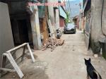 1.35 tỷ, Mrs Diễm bán 80m đất Hương Mạc, Từ Sơn, Bắc Ninh