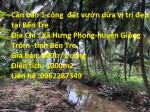 Cần bán 1 công đất vườn dừa vị trí đẹp tại Bến Tre