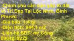 CHÍNH CHỦ CẦN BÁN GẤP LÔ ĐẤT Vị Trí Đẹp Tại ấp Tân Mai, xã Lộc Thành, Lộc Ninh, Bình Phước