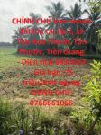 CHÍNH CHỦ bán nhanh đất lúa tại Tân Phước, Tiền Giang