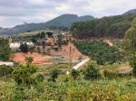 Bán đất làm farm trang trại tại Tà Nung Đà Lạt gần 3 hecta