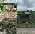 Chính chủ cần bán lô đất tại Bản Nậm Mạ Thái -  Xã Ma Quai -  Huyện Sìn Hồ - Lai Châu