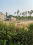Chính chủ cần bán nhanh lô đất đẹp ở Xã Tam Phú, TP Tam Kỳ, Tỉnh Quảng Nam