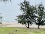 Chính chủ cần bán đất mặt biển địa chỉ: khu tđc thôn đông yên- xã kỳ nam- thị xã kỳ anh- tỉnh hà