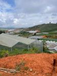Cần bán gấp lô đất Biệt Thự view thoáng tại Lạc Dương, Đà Lạt giá 448m2 chỉ 3.5 tỷ