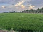KHAI XUÂN ĐẦU NĂM CHÍNH CHỦ cần Bán đất tại Đồng Tháp