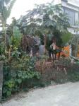 Em cần bán đất chính chủ không qua trung gian ạ.