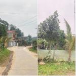 chính chủ cần bán nhanh lô đất ở đường Trương Quyền - tổ 12 - phường Yên Ninh – TP Yên Bái.